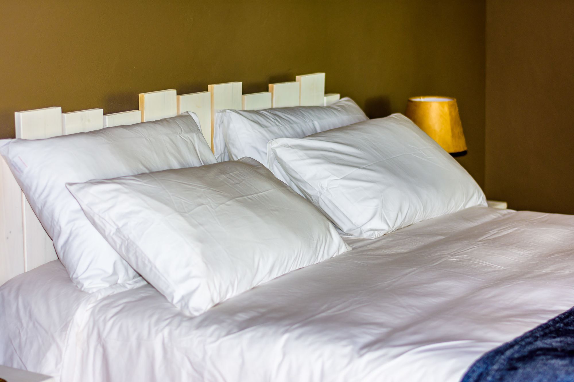 86 On Langenhoven Bed & Breakfast Oudtshoorn Dış mekan fotoğraf